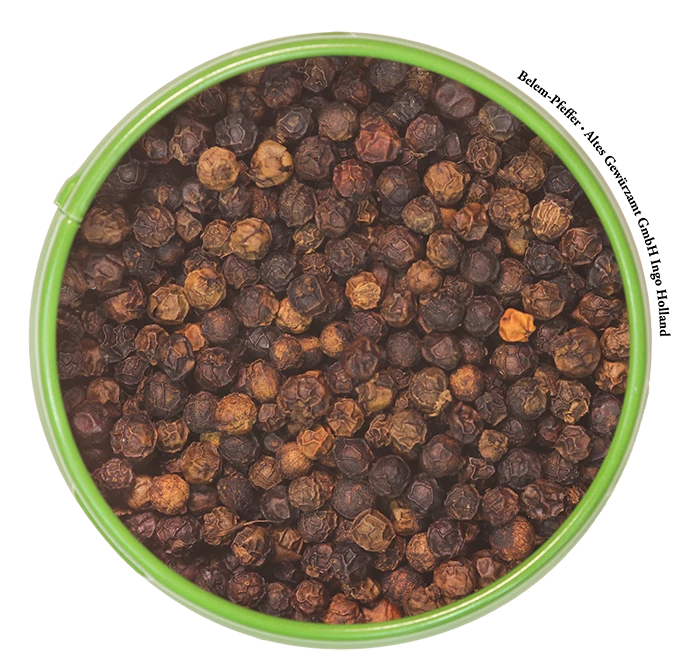 Belem-Pfeffer Schwarz GPA 2 Belem-Pfeffer Schwarz GPA – Bild 2