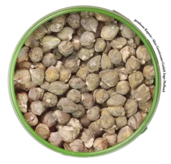 Spice Geschaft -Spice Geschaft altes gewuerzamt gesalzene kapern gefriergetrocknet