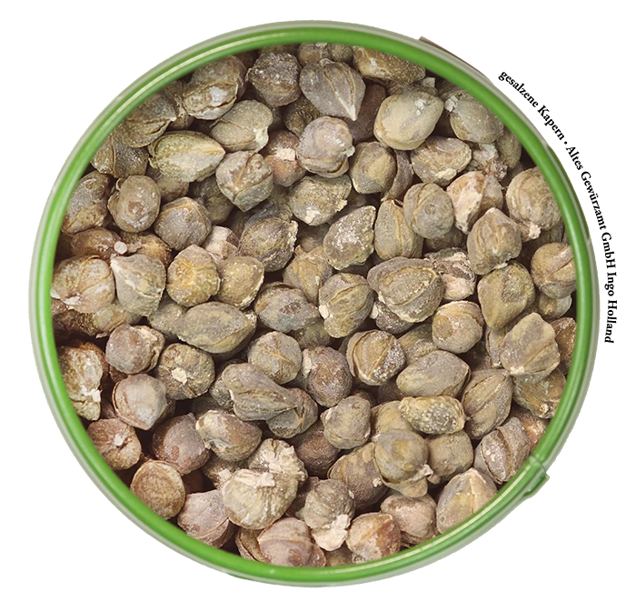 Eingesalzene Kapern Gefriergetrocknet 2 Eingesalzene Kapern Gefriergetrocknet – Bild 2