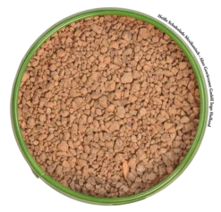 Neue Veröffentlichungen -Spice Geschaft altes gewuerzamt heisse schokolade mexikanisch 700sq