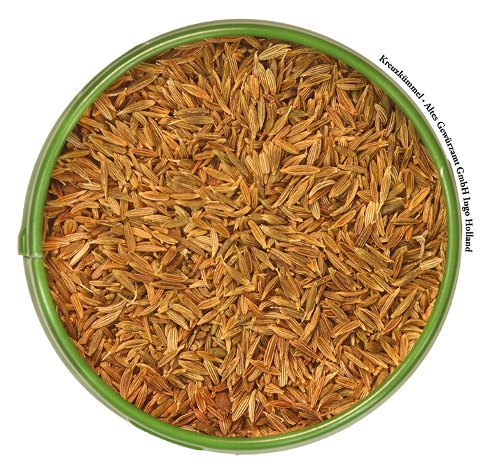 Kreuzkümmel / Cumin Ganz 2 Kreuzkümmel / Cumin Ganz – Bild 2