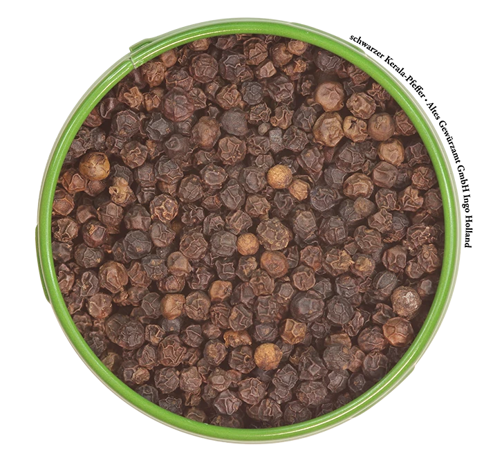 Kerala-Pfeffer Schwarz GPA 2 Kerala-Pfeffer Schwarz GPA – Bild 2