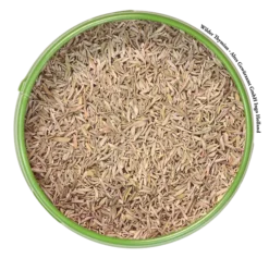 Spice Geschaft -Spice Geschaft altes gewuerzamt wilder thymian 700sq